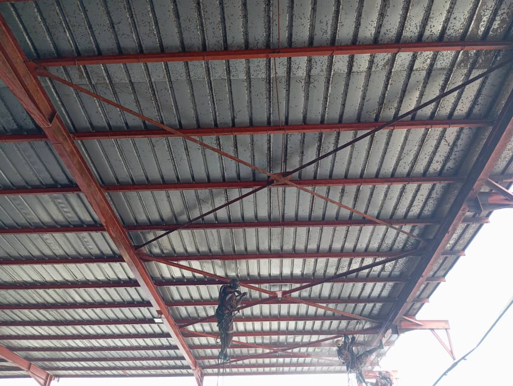 Nettoyage humide des bardages ,lessivage haute pression de la structure métallique , de la toiture des magasin de stockage et nettoyage humide des silo et sécheur pour Telcar cacao, et azur s.a 6